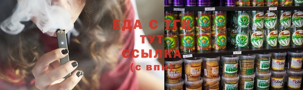 стаф Алзамай