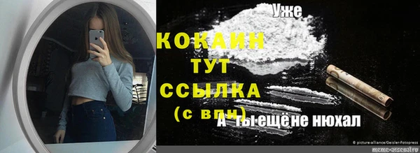 стаф Алзамай