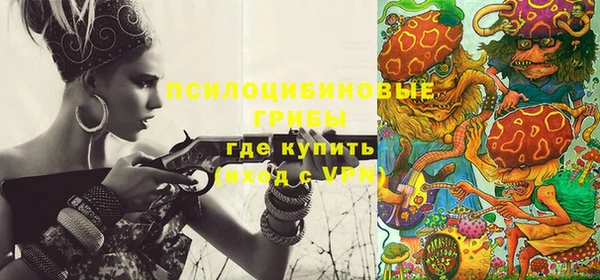 стаф Алзамай