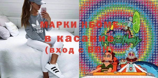 стаф Алзамай