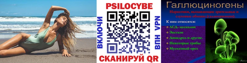 kraken ТОР  где продают наркотики  Пущино  Галлюциногенные грибы мицелий 